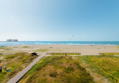 林相復育 生態永續 桃市府攜手在地社區海岸造林