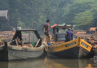 亞洲創生》永續旅遊正夯，馬來西亞最大紅樹林翻轉沒落成典範