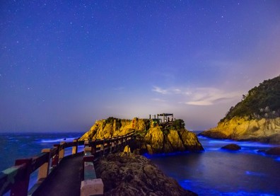 達人帶你玩1〉出海尋覓藍眼淚，細品馬祖老酒香