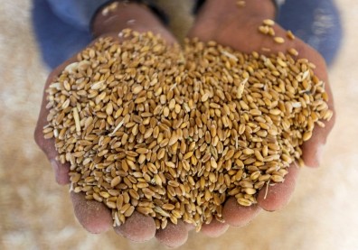 逾3億人缺糧，國際合作確保孩子溫飽