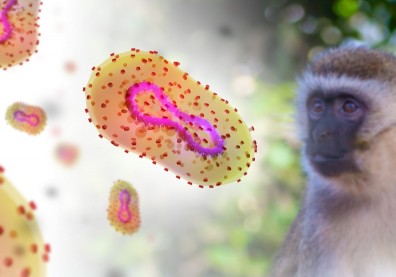猴痘疫情全球蔓延！疾管署提升44國旅遊警示至第二級