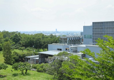 台灣能源轉型關鍵3.2%電力，竟跟這座森林電廠有關？