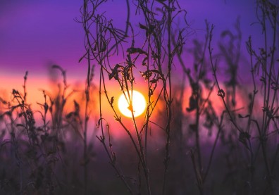 明明休息了，卻還是好累？「本我」與「超我」的鬥爭，誰贏了你都是輸家