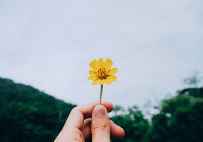 英文的“Take it”和台語「拿去」根本一樣？其實箇中還有「這些意思」