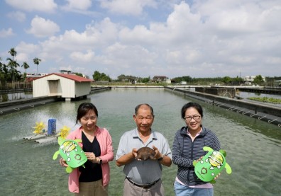 不甘被掐住脖子，栗煬20年轉型台灣甲魚銷日最大咖