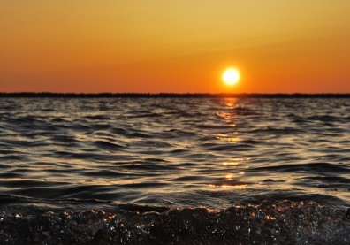 面對生死，人與萬物皆同──以赤子之心來學習接納及謙恭