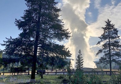 美國黃石國家公園西南之美：壯觀的老忠實噴泉和西姆指間歇泉