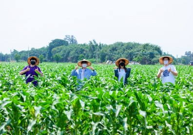 朝陽科大打造跨域永續人才 SDGs在地實踐卓越受肯定