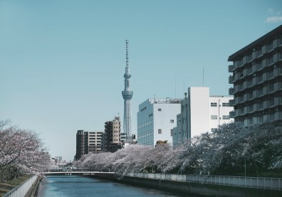 日本自由行「打高端進不去」？王必勝：還有採檢PCR這條路