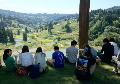 一枚錦鯉NFT，如何活化800人新潟小村？