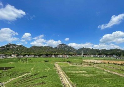 地方創生／中國福建「鐘山鎮」，城市化侵襲下的自我拯救與逆襲