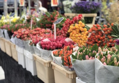 植物控必訪！全台10大超人氣「花市」推薦，多肉、盆栽、鮮花一次買足