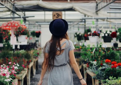 植物控必訪！全台10大超人氣「花市」，讓你盆花、鮮花、多肉一次買足