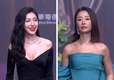 第57屆電視金鐘獎／楊謹華林心如打對台、陳亞蘭搶視帝