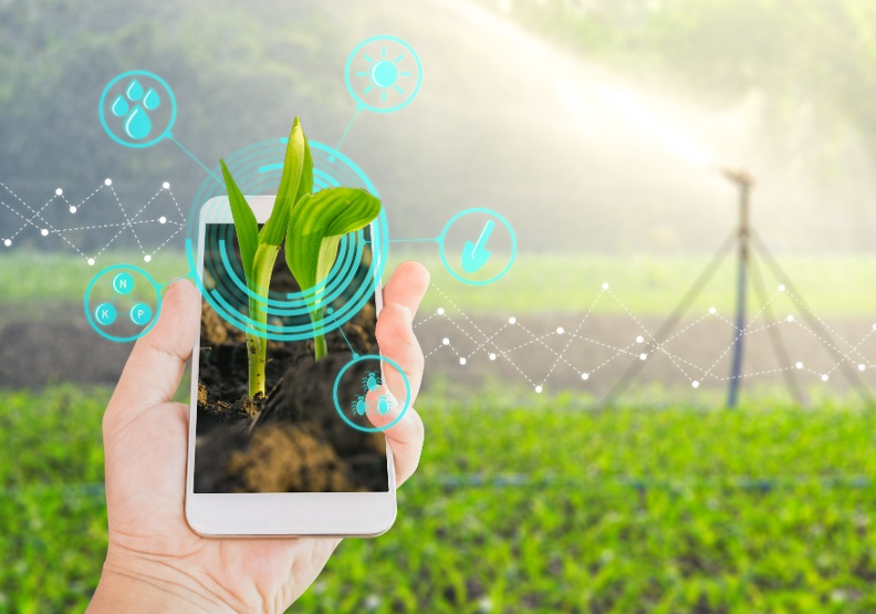 科技助攻農業再進化 無人機搭載AI幫農夫巡田還能抓害蟲
