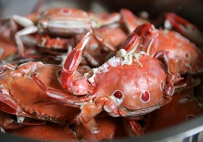 秋意濃 食蟹正當時 到萬里尋蟹 賞味黃金路線