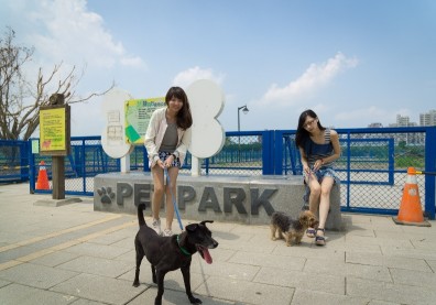 新北全國首創6項動保政策 打造寵物友善空間