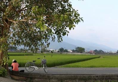 被都市生活逼著努力？讓「台東慢」治癒你的積極病