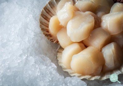 你吃的是真干貝，還是假干貝？腰子貝、海扇貝、組合干貝這樣分辨