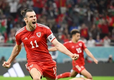 2022世界盃／一日球迷如何玩運彩？友善指南在這