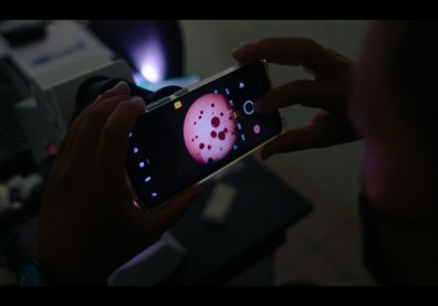 沃旭能源離岸風場 化身珊瑚復育基地