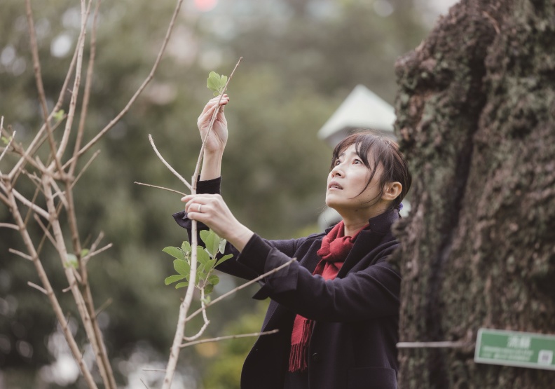 台灣第一位女樹木醫生！詹鳳春傾聽樹木語言維護城市綠景觀