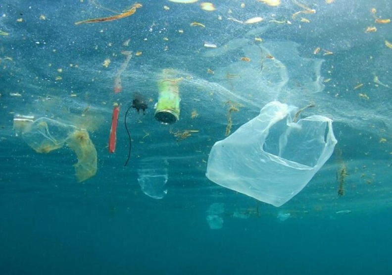 陳思穎潛水時發現大量垃圾汙染海洋，因而燒光積蓄、投入海洋保育研發工作。圖取自Flickr