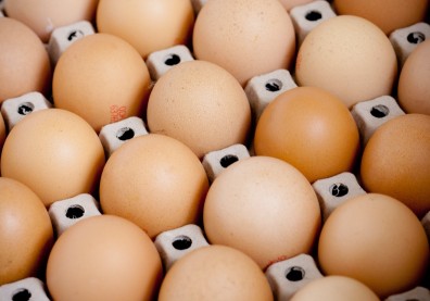 蛋荒好像沒來過！雞蛋價格跌至2年新低，如何挑好蛋？