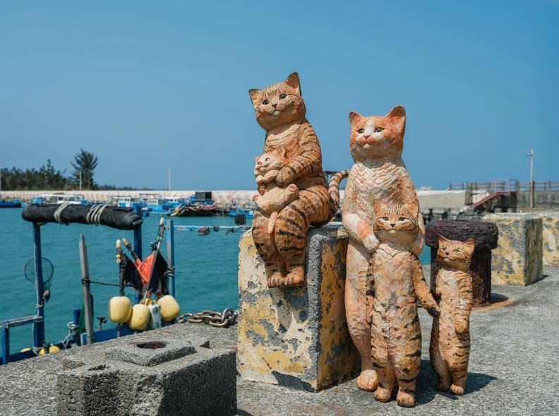 《貓野家族 ネコノ家族 The Nekonos Family》。取自極度日常官網。