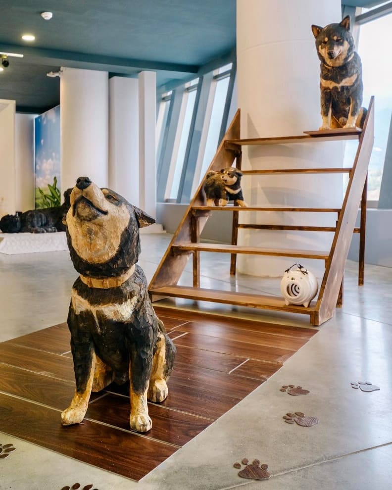 橋本美緒藝術家的狗「月」。取自屏東縣長周春米 FB。