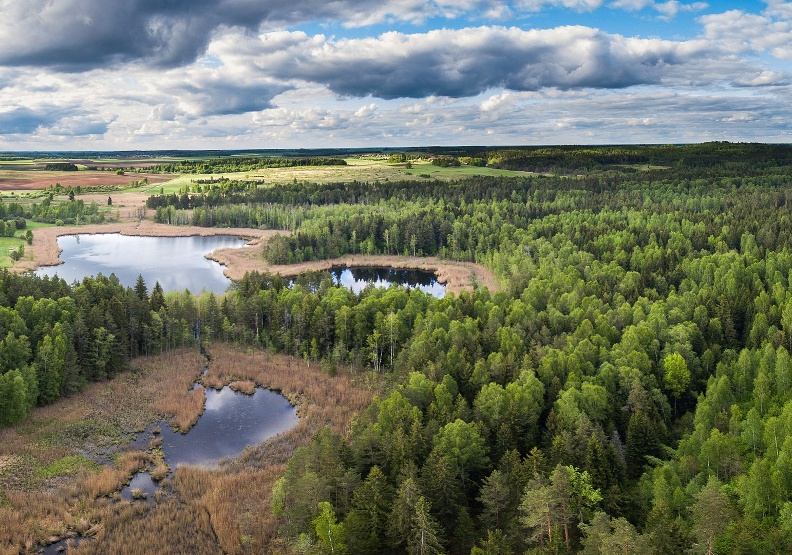 立陶宛渾然天成的自然景色，也是居民幸福的原因之一。圖為立陶宛典型的地貌，包括低地、湖泊、沼澤與森林。wikimedia commons by Mindaugas Macaitis 
