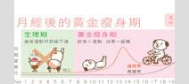 善用月經週期瘦身最有效！