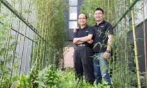 老鷹如何交棒給水獺？