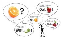 Yes or No，你所不知道的事