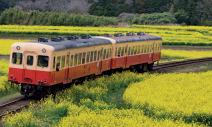 解開駱駝最後一根稻草