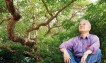 你選擇信仰30億，還是信仰千年茄苳？