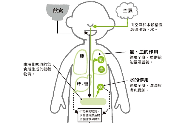 氣、血、水，決定你的健康狀態
