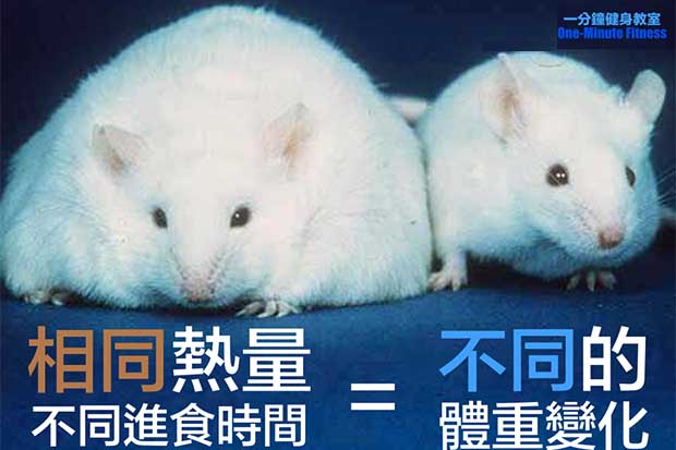 多量少餐更能瘦？