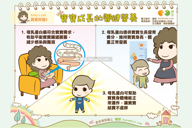 幫助寶寶健康茁壯，蛋白質是關鍵成分