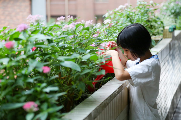 預防性早熟要避免地雷食物，中醫教你如何做