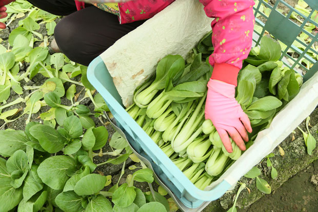 壓力大就想吃甜食、大口吃肉?12種食物有助紓壓解憂、回復元氣_img_1