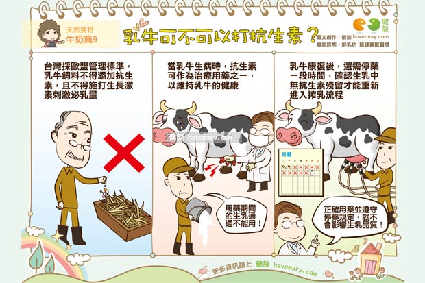 乳牛可不可以打抗生素？