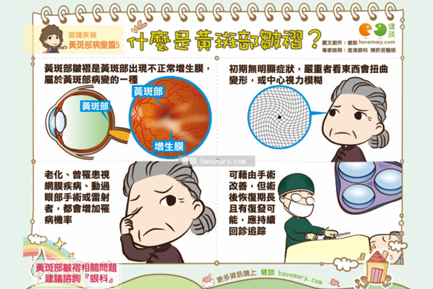 什麼是黃斑部皺摺？