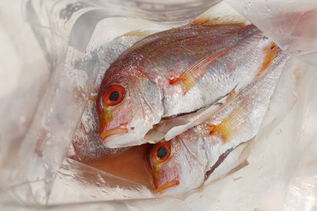 讓肉質變油潤變肥嫩！達人教你魚肉回春大法