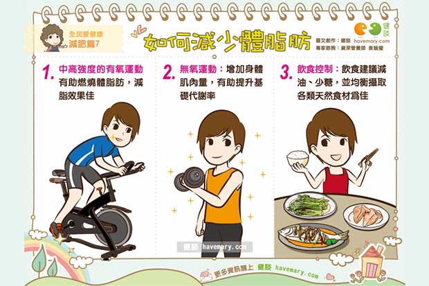 如何減少體脂肪？