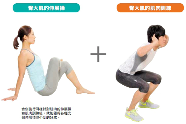 透過「伸展操＋肌肉訓練」伸展肌肉的優點