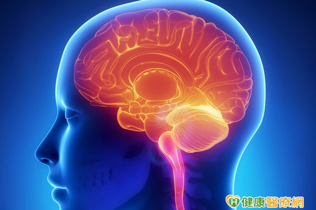 林美照花百萬「修腦」　醫：不絕對有效