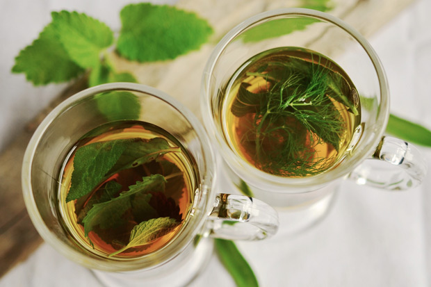 喜歡喝香草茶，但你知道對身體有什麼好處嗎？
