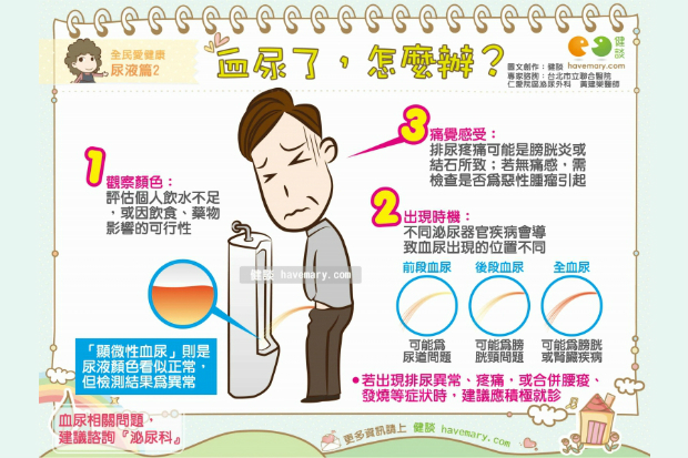 血尿了，怎麼辦？