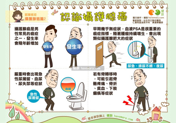 認識攝護腺癌